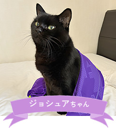 ジョシュアちゃん