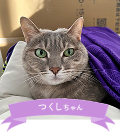 つくしちゃん
