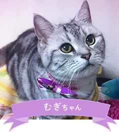 むぎちゃん