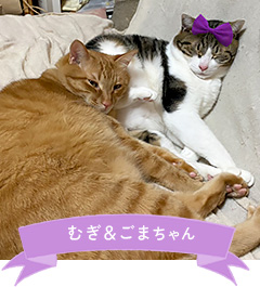 むぎ＆ごまちゃん
